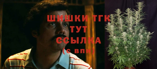 дживик Инта