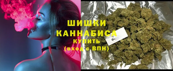 ГАЛЛЮЦИНОГЕННЫЕ ГРИБЫ Вяземский